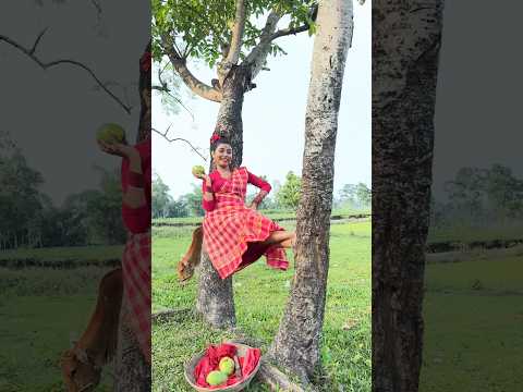 Aam gach a aam fole 🥭 | Neha Roy | #shortfeed #viralgirl #trending
