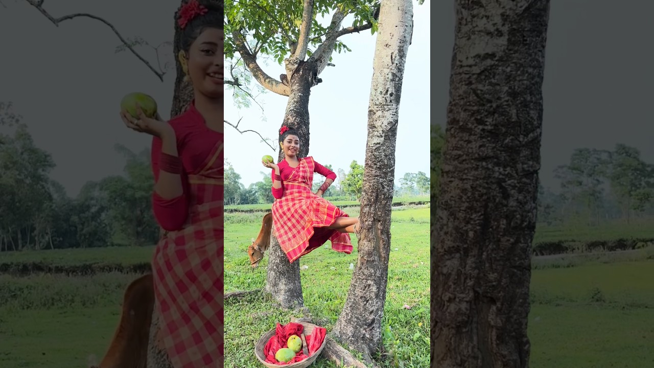 Aam gach a aam fole 🥭 | Neha Roy | #shortfeed #viralgirl #trending