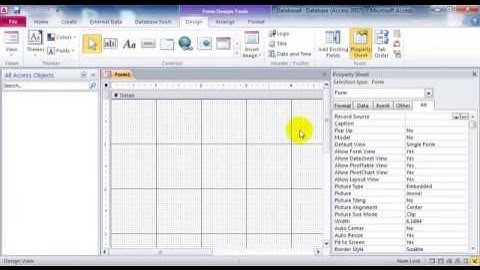 MS Access VBA How to run form full screen By Sokchab
