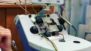 How are the Stem Cells Extracted?
