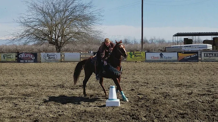 11.085 for Cherie Rogers Hohlbauch in Speed Ball