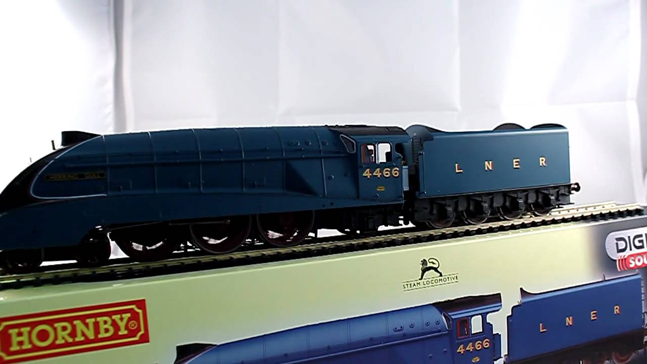 Hornby R2705XS Class A4 'Herring Gull' with Sound! YouTube