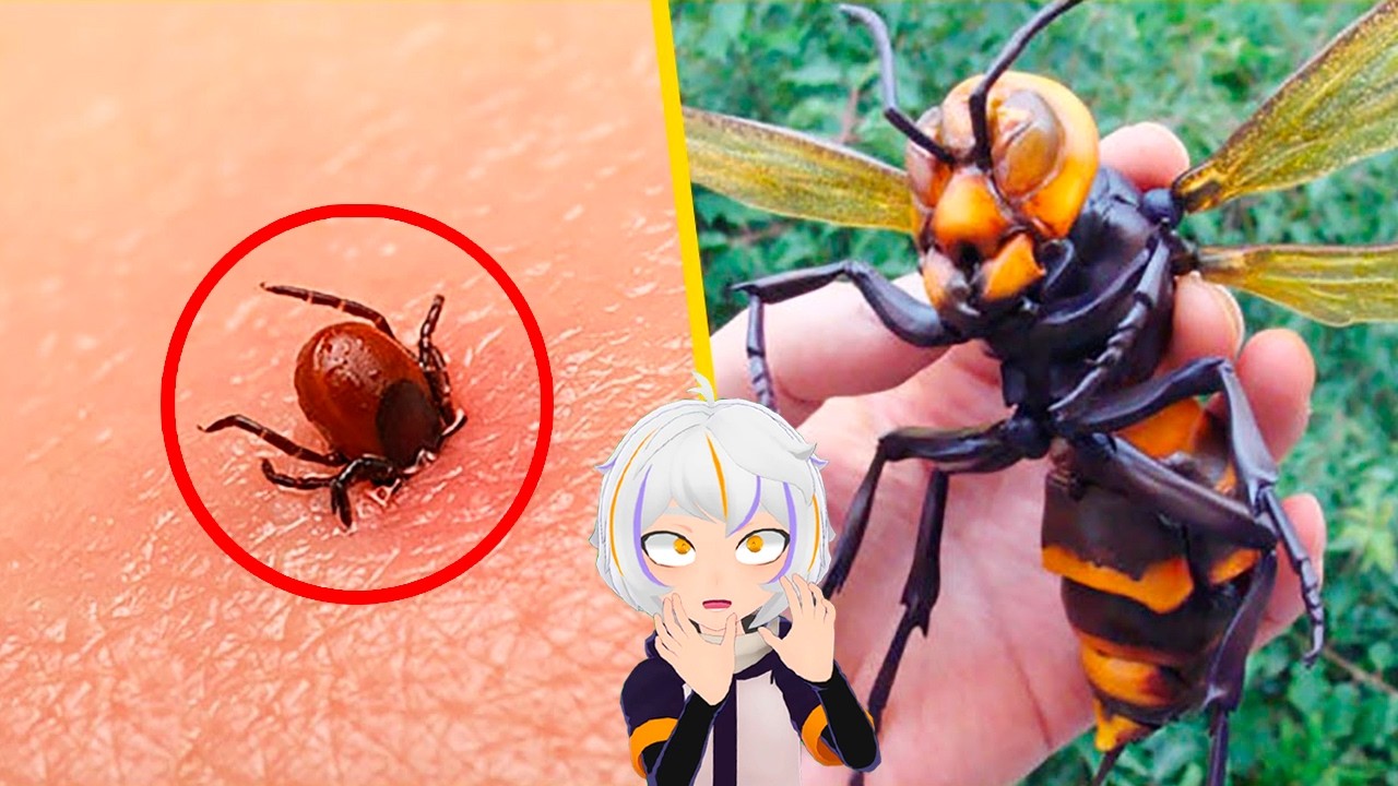 Los 10 Insectos más Peligrosos del Mundo | ChuyMine REACCIONA a BÚHO SABIO