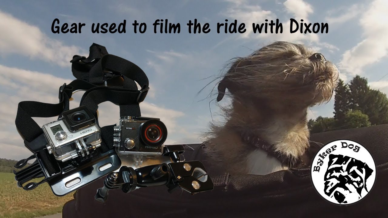 Two Camera Set Up On Ryker With My Dog Dixon YouTube two-camera-set-up-on-ryker-with-my-dog-dixon-youtube