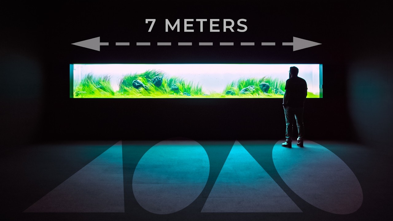 This Aquarium Will Make You FALL IN LOVE With Aquascaping (Again)