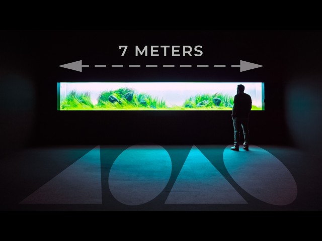This Aquarium Will Make You FALL IN LOVE With Aquascaping (Again