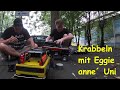 Krabbeln anne Uni / Crawl at University