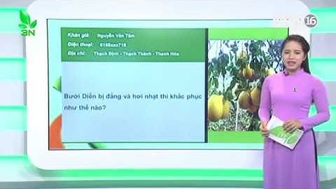 Khắc phục quả bưởi bị đắng và nhạt