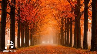 [4K Relaxation Film] Autumn Forest & Falling Leaves 🍂 Healing Piano for Anxiety & Sleep