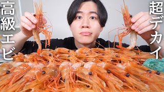 巨大な高級エビを生で食べたら幸せすぎた【モッパン】【ボタンエビ】