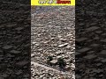 kabristan!!! #shortvideo #amazingfacts #facts #factsinhindi #boost#ytcreator