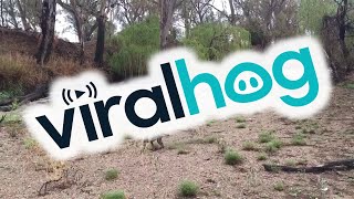 Namoi River Reborn After Heavy Rain || ViralHog