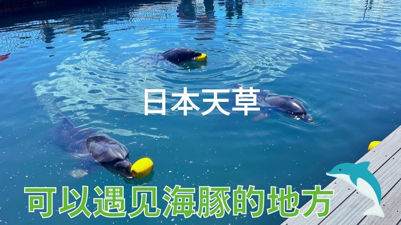 【日本旅游推荐No,29】-🌴熊本县天草一日游 5 个必游景点🌊熊本县上天草市🌞