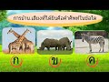 เกม ทายคำศัพท์ภาษาอังกฤษหมวดสัตว์