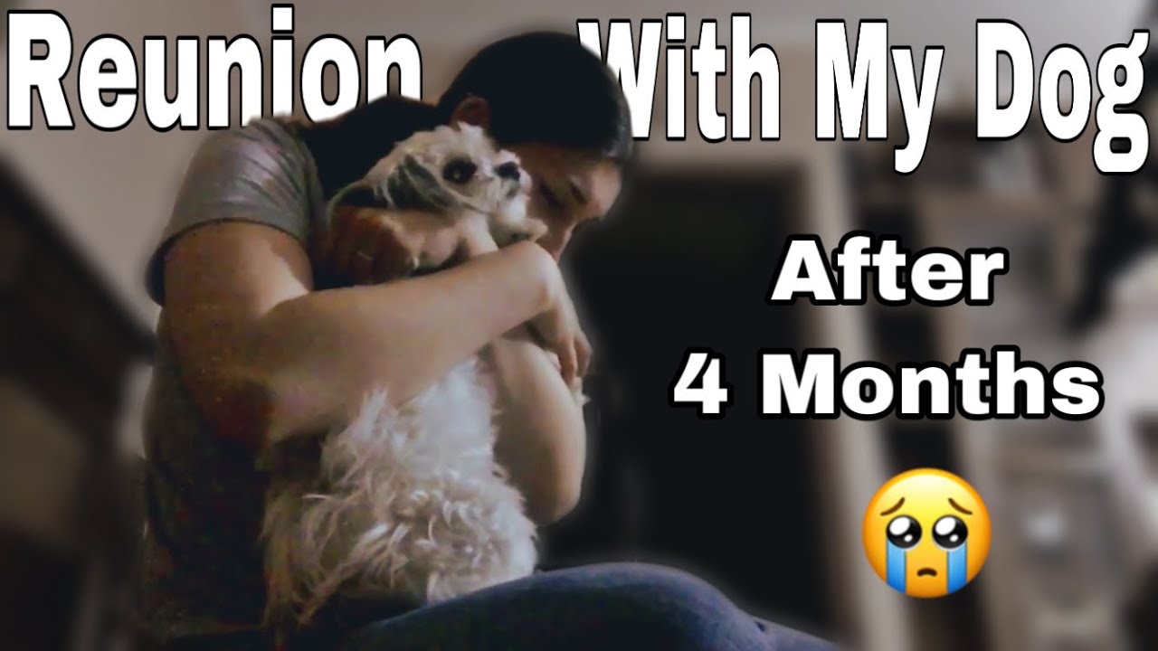 Reunited With My Dog After 4 Months - YouTube
