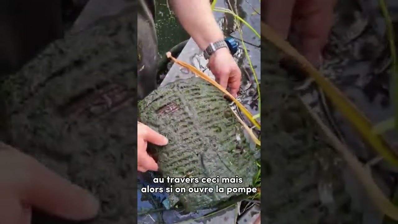 Entretenir sa pompe d’étang ou de filtration, c’est parfois plus que nécessaire !