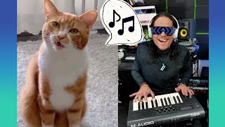 Singing Cat  Musical Meows (Gato Cantor  Miados Musicais) AtilaKw Remix