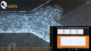Precise pulse-free flow control with ExiGo Microfluidic Pumps
