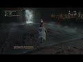 Bloodborne™_20230809141207