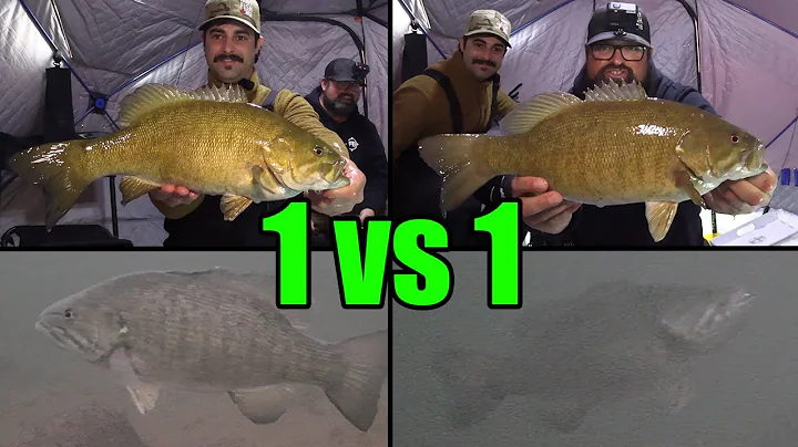 Smallmouth Bass 1 vs 1 Smash! | Ice Fishing