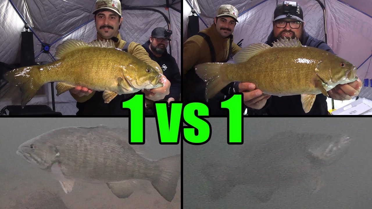Smallmouth Bass 1 vs 1 Smash! Ice Fishing YouTube