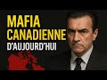 Mafia Canadienne Comment Le Canada Domine Les Autres Mafia L Histoire Gangster