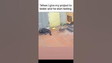 how Tester take project #coding #programming #python #javascript #webdevelopment #css #html