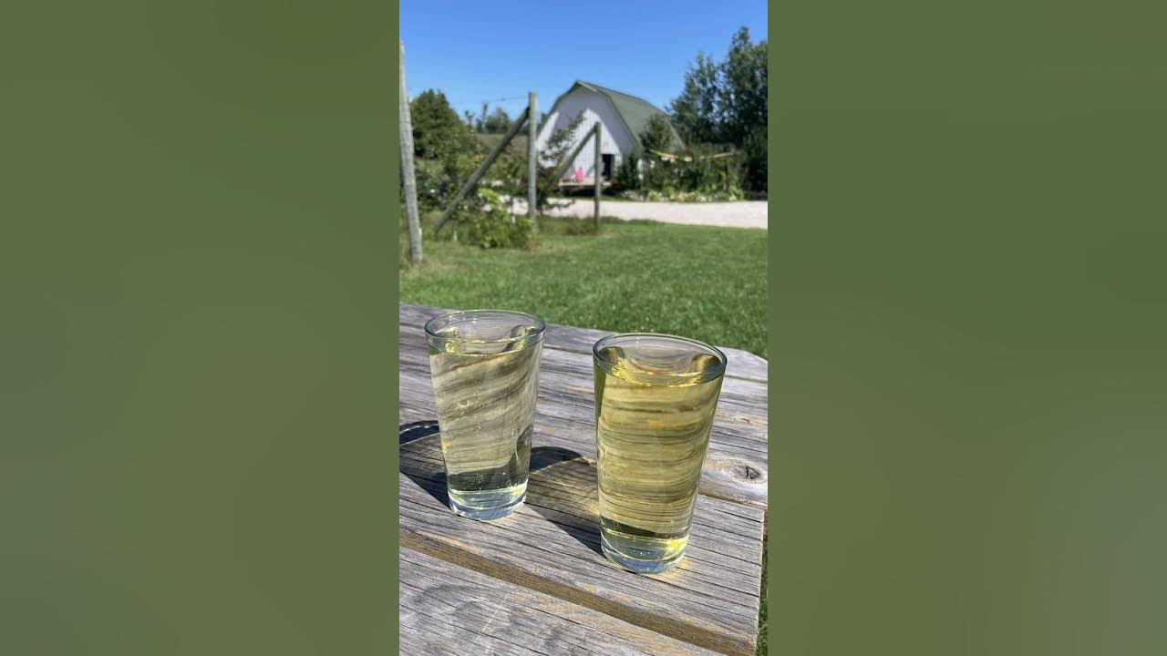 Tandem Ciders Sutton's Bay, MI Traverse City, MI YouTube