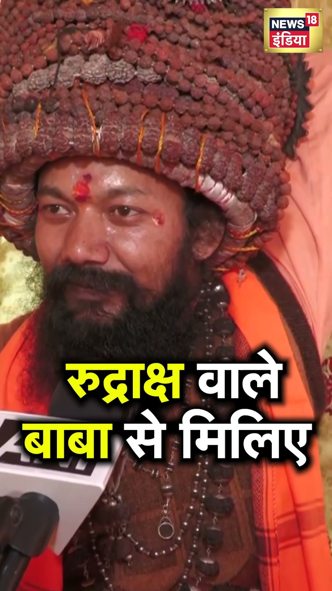 Rudraksh Wale Baba Gitanand Giri से मिलिए | N18S