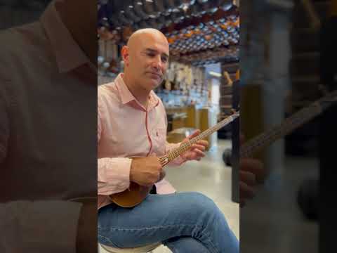 Professional Persian Setar String Musical Instrument By Mansur MS 304