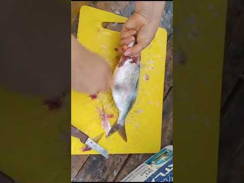 اسهل طريقة تنظيف الحوت