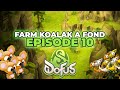 J'ai farmé les Koalak pendant TROP longtemps...(Aventure de 0) #10