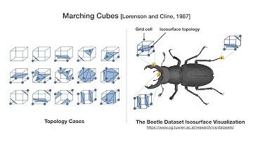 Video preview: Uncertainty Visualization of the Marching Squares and Marching Cubes Topology Cases