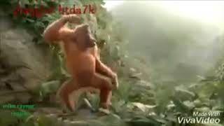 Jenno Netto 😂😂😂