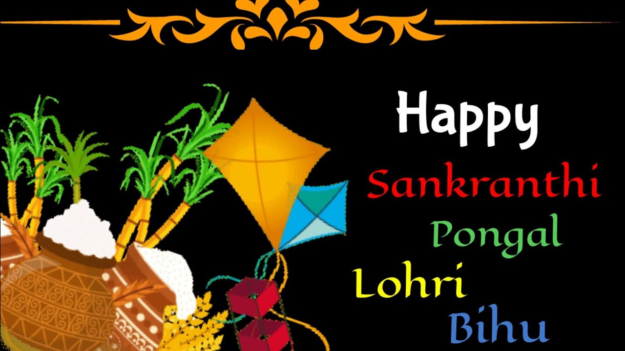 Happy Makar Sankranti/Pongal/Lohri/Bihu|Watsapp ,Facebook Status,greeting,wishes,2019 - YouTube