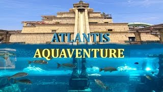 Atlantis Aquaventure Water Park - The Palm , Dubai 2016 4K