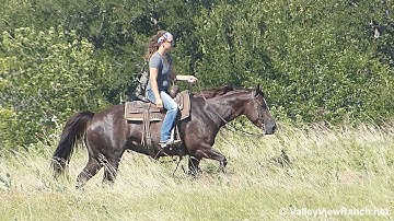 Miss Dual Ichi - trail riding #1 - Valley View Ranch