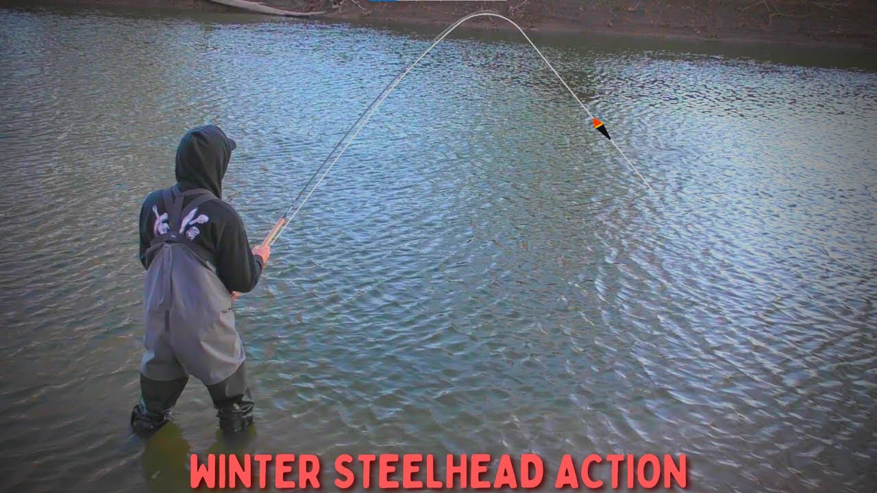 Float Fishing for STEELHEAD on a Warm Winter Day YouTube