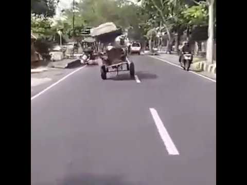 Jaran Bigar Lucu Brow