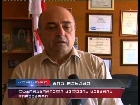 15 ივნისიდან ზღვაზე ბანაობის სეზონი ოფიციალურად გაიხსნება 18 06 2015