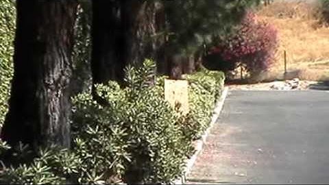 BT Apex Paintball Barrel Demo & Review