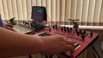 Arturia Micro Freak Korg Monologue Chilled Jam