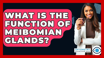 What Is The Function Of Meibomian Glands? - Optometry Knowledge Base