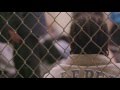 America Divided | Chicago Jails | EPIX
