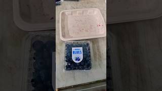 Must Watch If You're Selling Blueberry | Resell Blueberry With Full Price - Agri Gears Tip