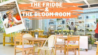 The Fridge and Bloom Room ( Harare , Zimbabwe ) - YouTube