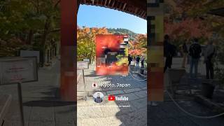 How to take DIFFERENT photos in KYOTO! #photography #temple