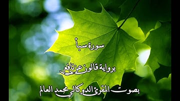 سورة سبأ بصوت المقرئ الدوكالي محمد العالم