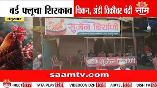 तिसऱ्यांदा बर्ड फ्लूचा शिरकाव, चिकन दुकानं, बिर्याणी सेंटर बंद करण्याचे आदेश Bird Flu Nandurbar