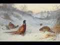 Охота на фазана . Закрытие 31 декабря 2019 г. Горы охотхозяйство "Каракастек" Казахстан